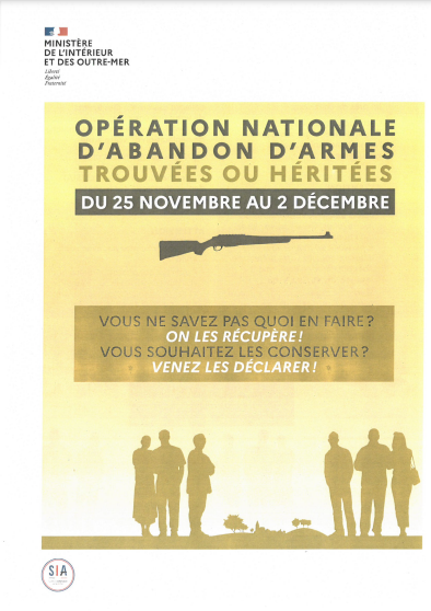 Capture d’écran Flyer 1.png