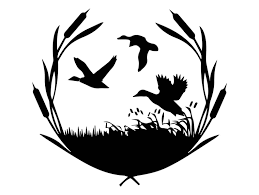 canards.png