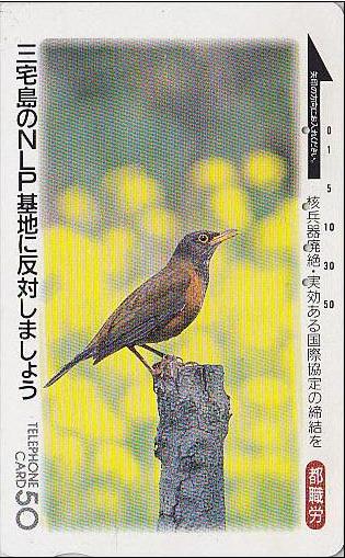 turdide-bird-japan à faire.jpg