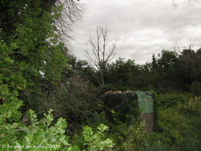 Chateauneuf de Gadagne (84). Les arbres de pose.