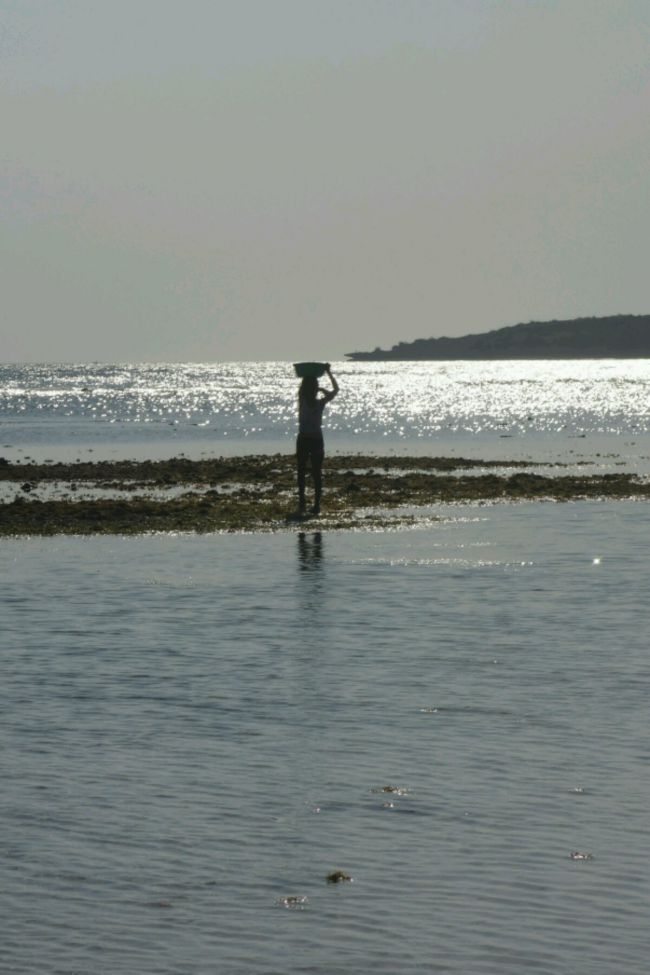 Pêche à pied à Bara Beach