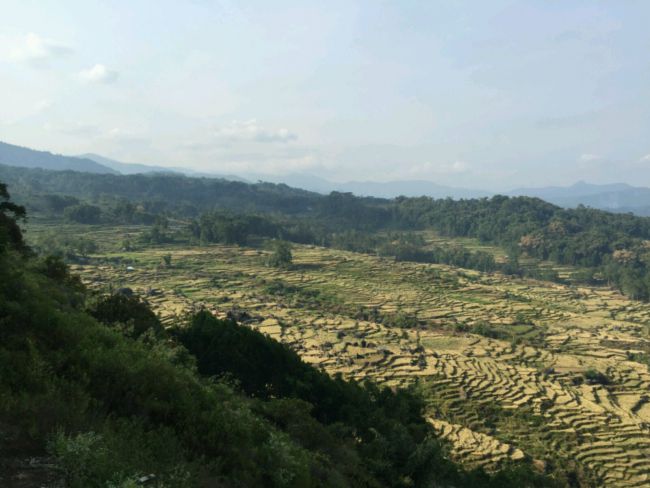 Cascades de Rizières à perte de vue (toujours en Toraja)