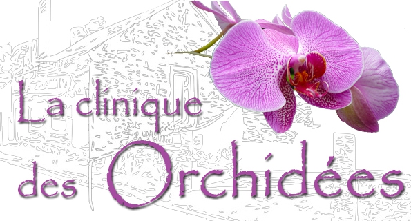 La-Clinique-des-Orchidees - 36 - Martine Poirier