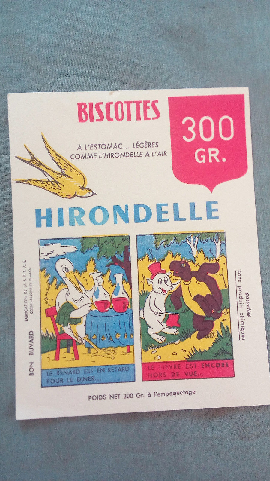 hirondelle.jpg