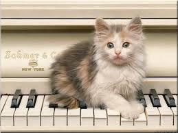 chat piano
