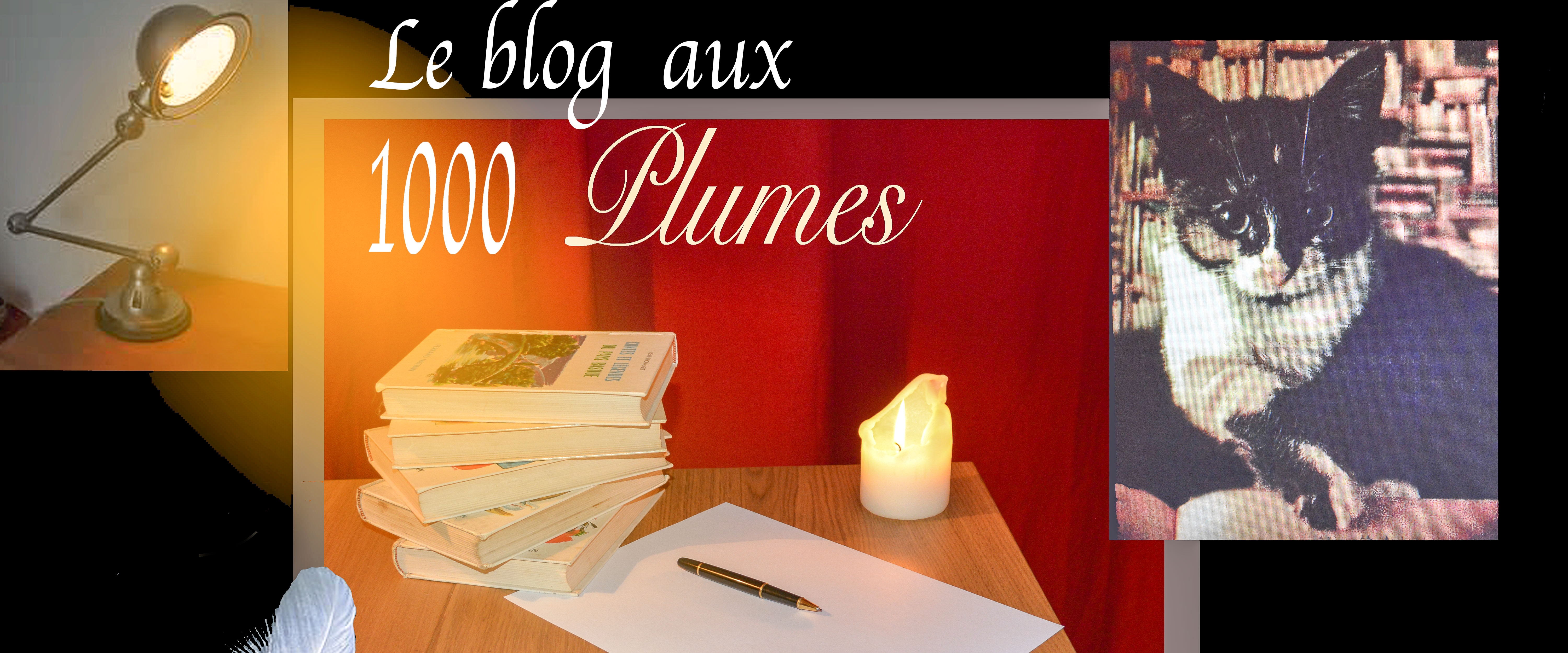 le blog aux 1000 plumes.