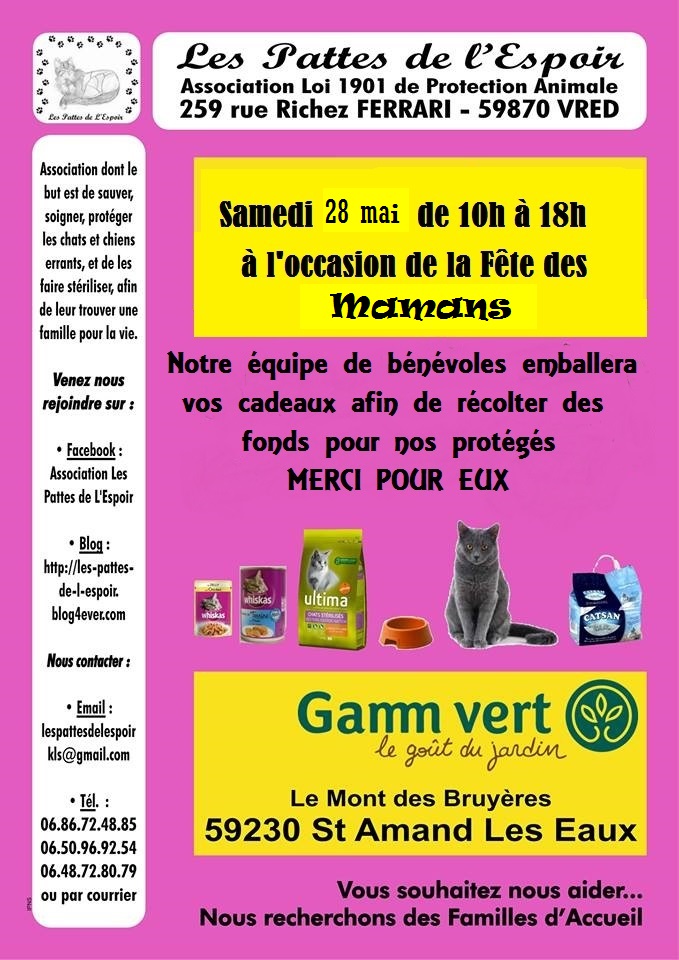 gv st amand fete des meres.jpg