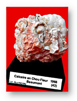Calcaire en chou-fleur Beaumont 43 inventaire et photo Guy PEGERe