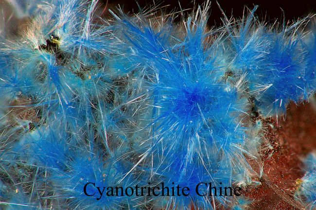 cyanotrichite - chine copyright JP Boudou