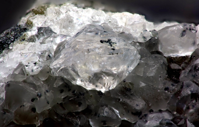 Phacolite - Pont de la Taule - Ariège