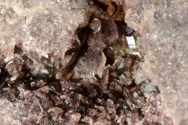 Axinite - Pic de Campana - Barèges 65 (cristal principal 0,5cm)