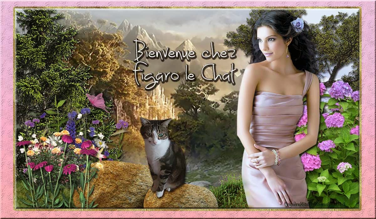 figaro-le-chat