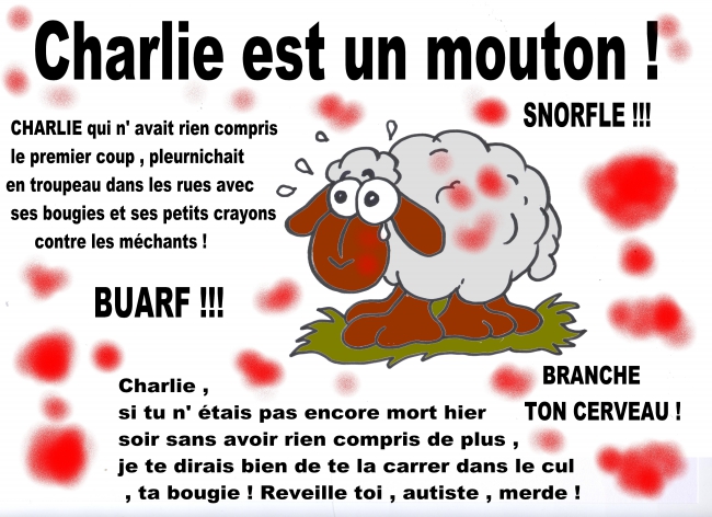 CHARLIE EST UN MOUTON 2.jpg