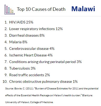 Malawi - Causes of Death.jpg