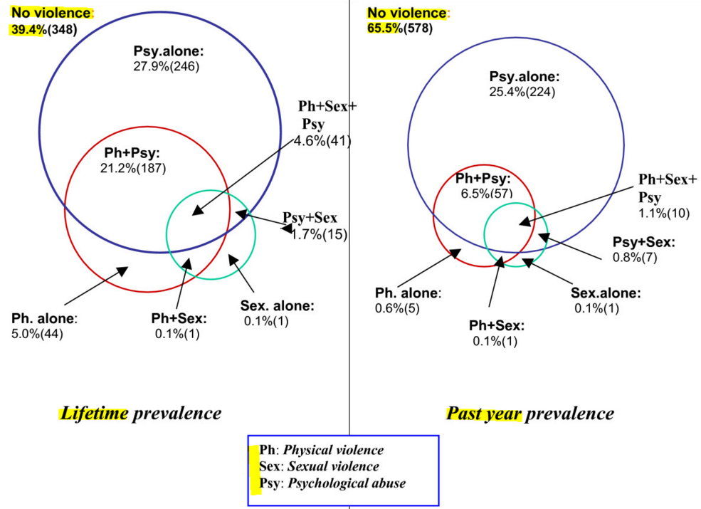 Overlap of Types of Violence Against Women in Lifetime and Past Year.jpg