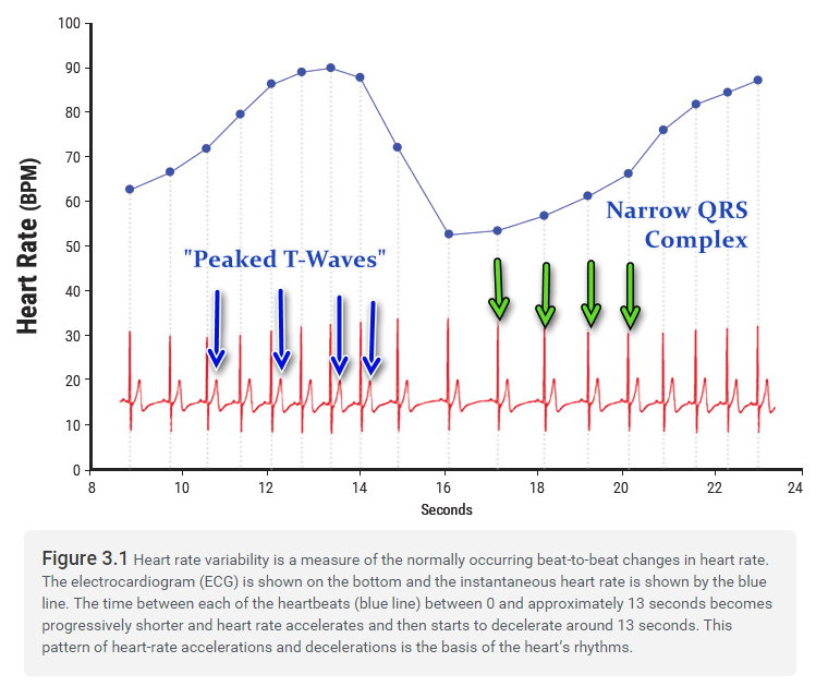 Figure 3.1 commented.jpg