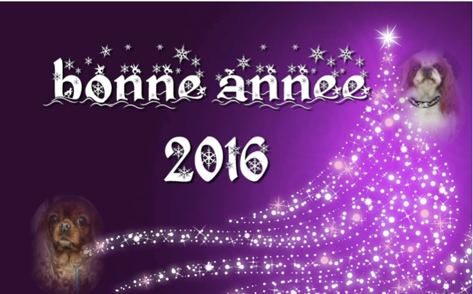 Bonne année 2016.jpg