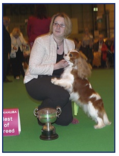 Crufts15.jpg