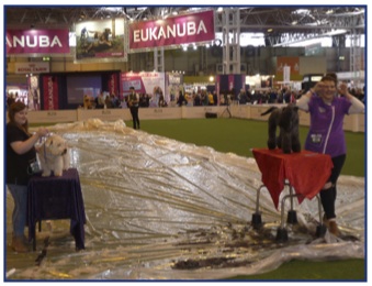 Crufts16.jpg