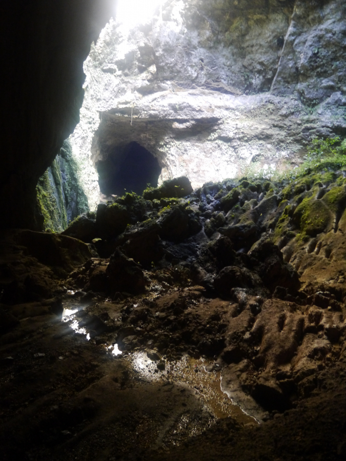 Grottes de Rio Camuy