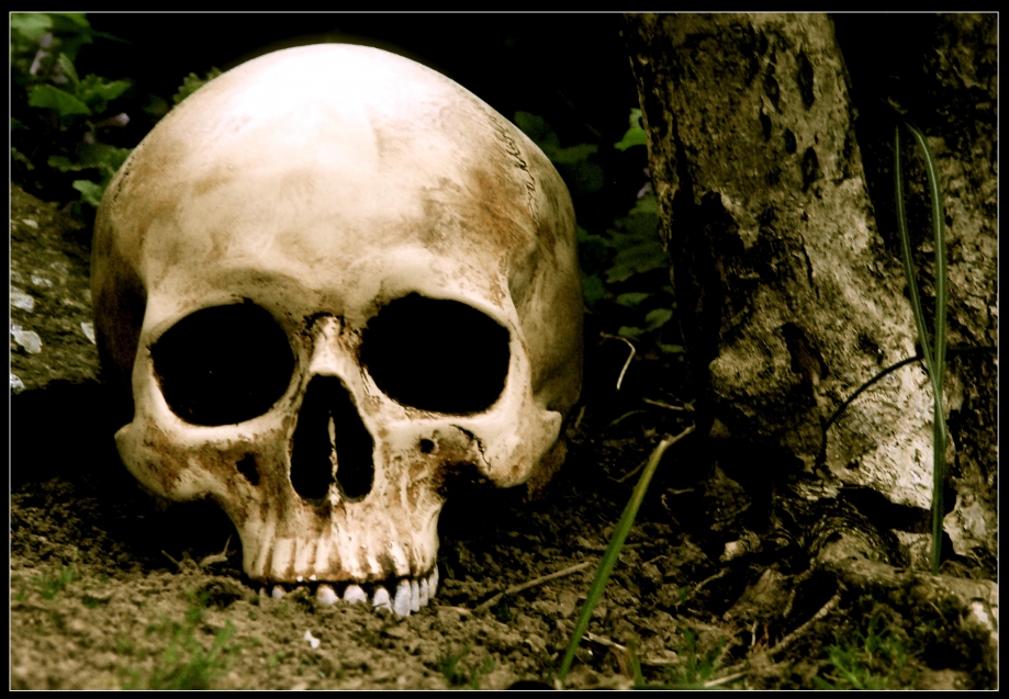 Skull Duggery.jpg