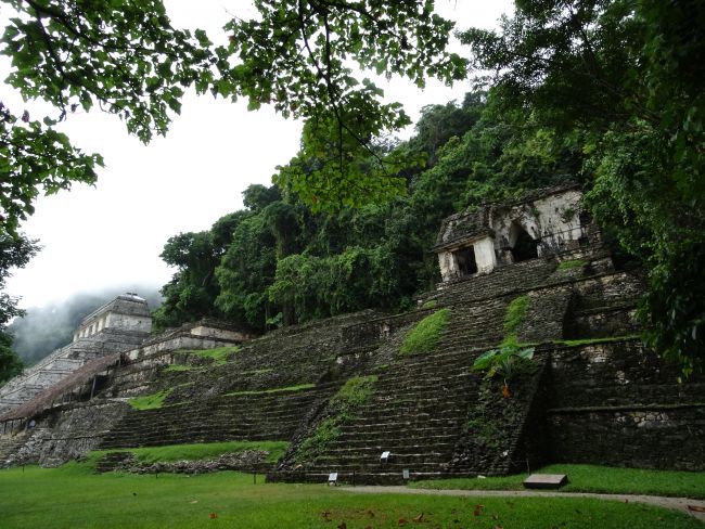 Lu 26 Palenque, site archéologique maya