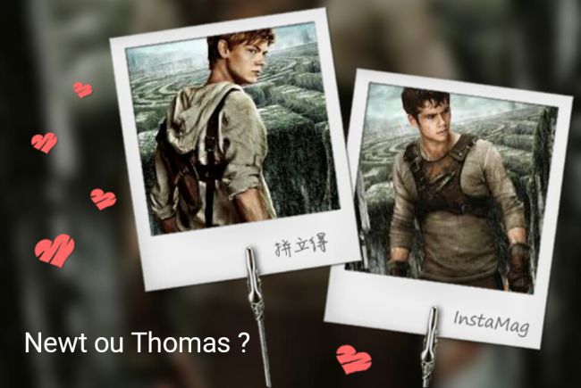 Newt ou Thomas ?