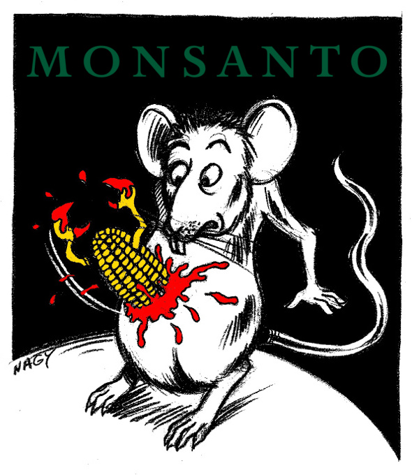 OGM-Monsanto-72.jpg