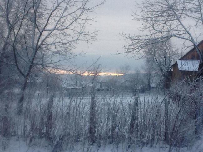 Un hiver chez moi , mon jardin et un paysage figé au petit matin