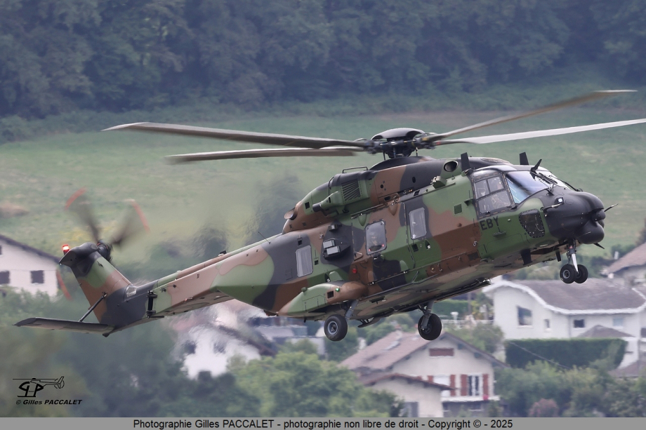 f-meby_nhi_nh90tth-caiman_cn1479_alat_1112.JPG