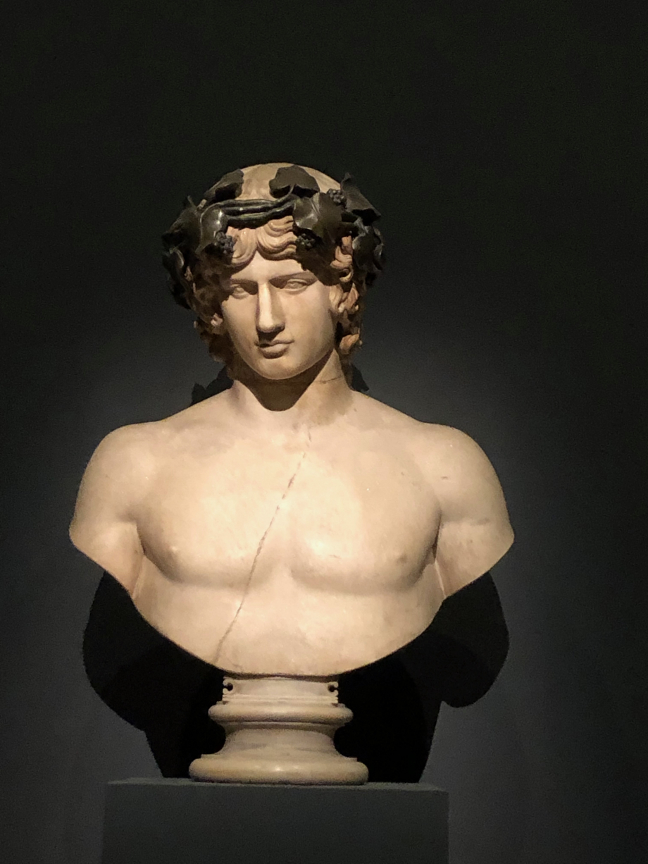Buste d'Antinoüs : un beau jeune homme
Antinoüs était le favori de l'Empereur Hadrien
Seule une partie de la tête est antique ; le haut du crâne, la couronne de bronze et le torse sont des ajouts modernes