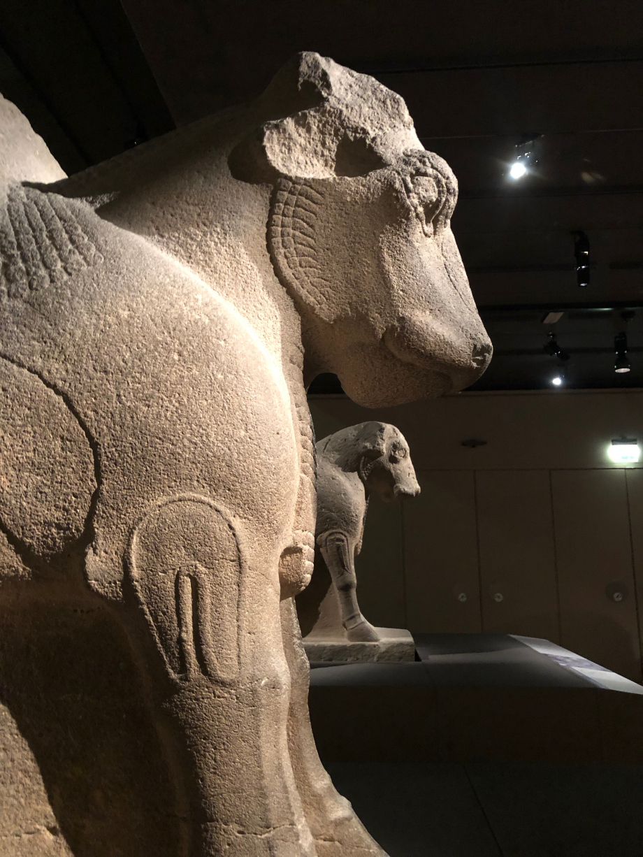 Statues de taureaux
Basalte
Arslan Tash, ancienne Hadatu (Syrie)
745-727 av JC
Fouilles F. Thureau-Dangin, 1928
Paris, Musée du Loure