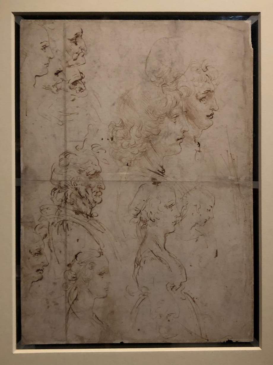 Léonard de Vinci
Verso : études de profils humains
vers 1478 1480
Windsor Castle, The Royal Collection prêté par Sa Majesté la Reine Elisabeth II

Léonard décline au verso les mêmes thématiques : filles et garçons à la beauté idéale, hommes dans la plénitude de l'âge, vieillards aux traits difformes