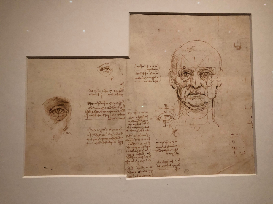Léonard de Vinci
Etude des proportions du corps humains
vers 1489 1490
Turin, Biblioteca Reale