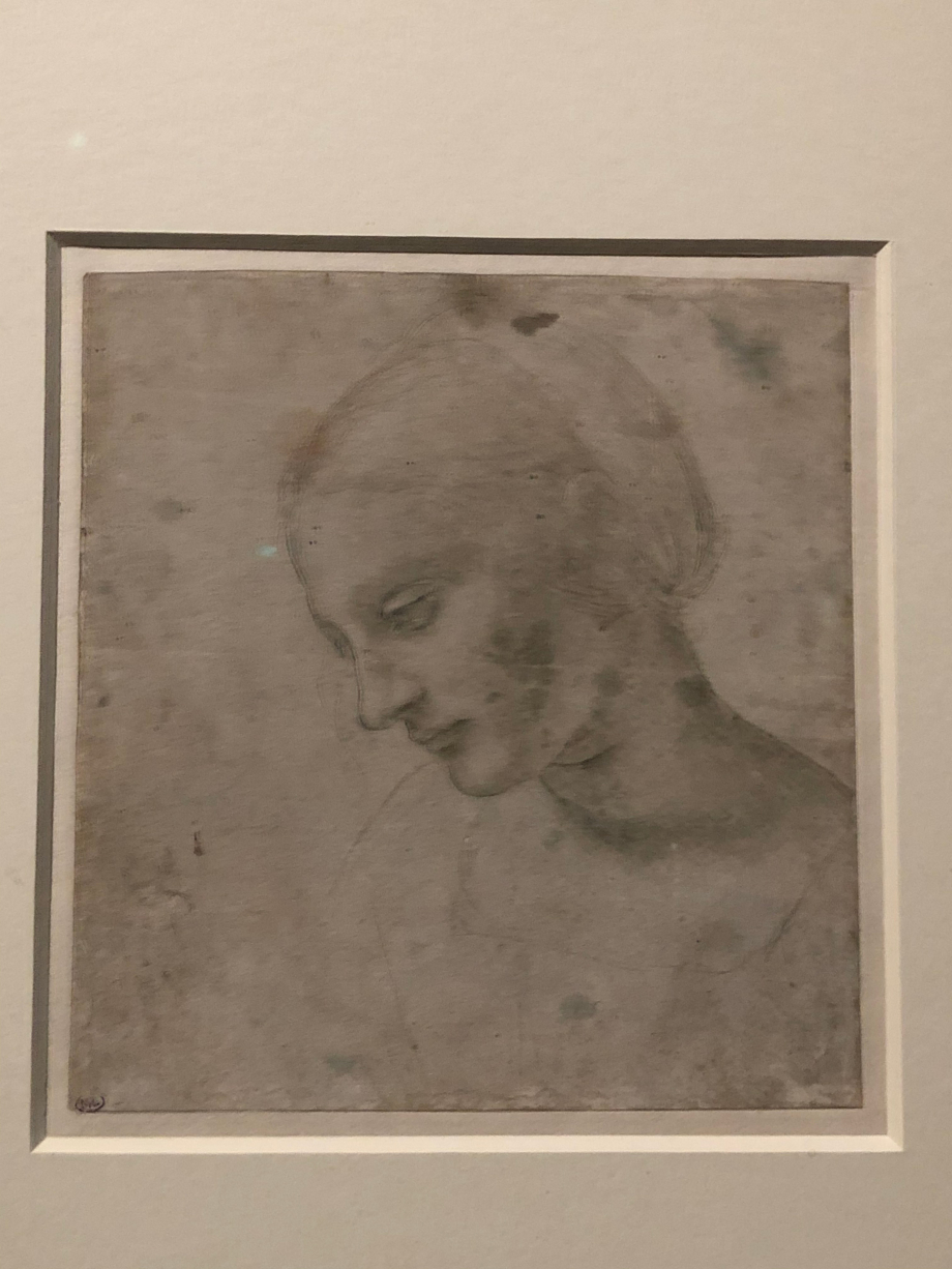 Léonard de Vinci
Tête de femme
vers 1485 1490
Paris, Musée du Louvre

Léonard démontre ici sa maîtrise et sa liberté dans l'usage de la pointe d'argent, technique virtuose ne permettant pas les corrections.
