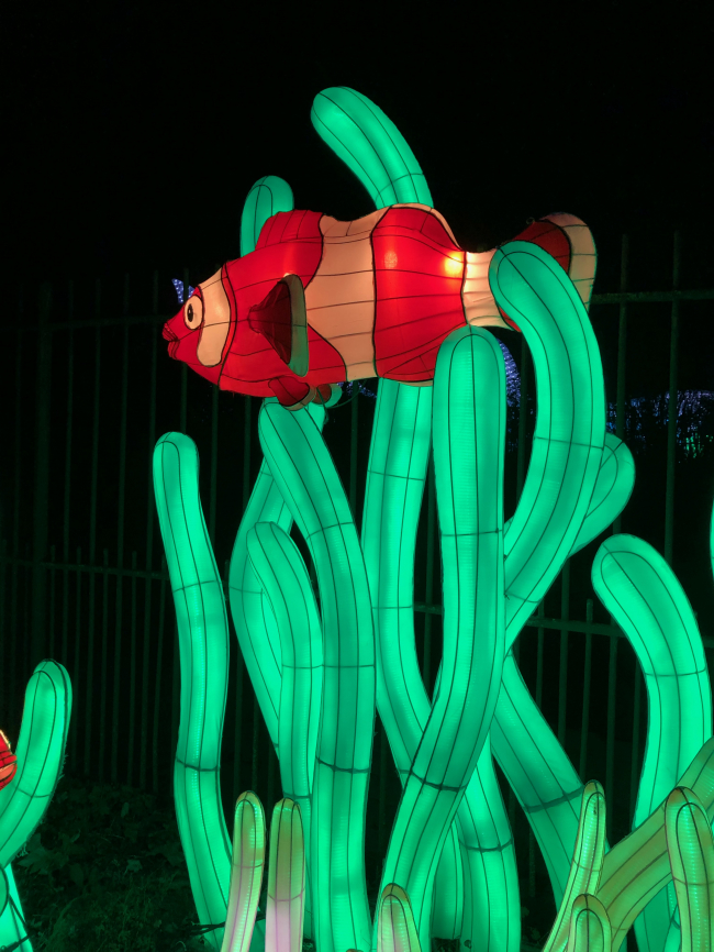 Océan en voie d'illumination au Jardin des Plantes