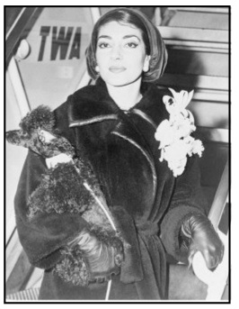 Callas3.jpg