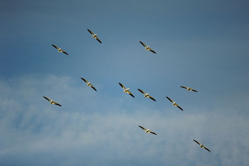 SVA_7197.JPG