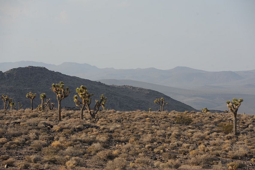 DSC_3236.JPG