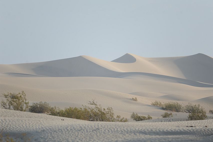 DSC_3312.JPG