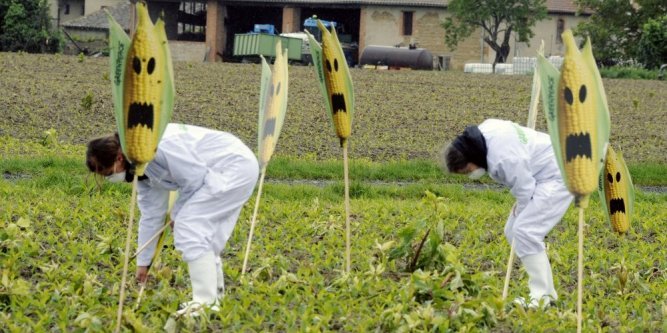 des-militants-de-greenpeace-sont-passes-a-l-action_880990_667x333.jpg