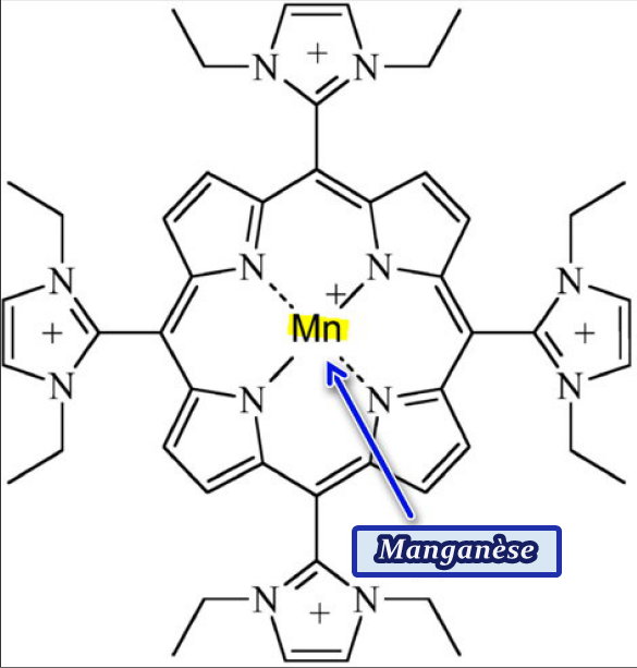 Manganese SOD - 2D sructure - highlighted.jpg