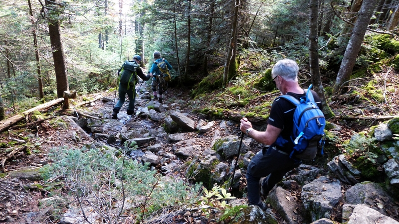 https://static.blog4ever.com/2016/03/816195/Bigelow-Preserve---Avery-Peak---Photo-perso-18---Descente-2.JPG