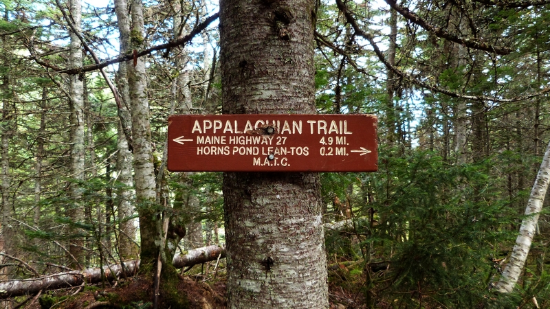 https://static.blog4ever.com/2016/03/816195/Bigelow-Preserve---Horns-Peaks---Photo-perso-08--Appalachian-Trailt-.JPG