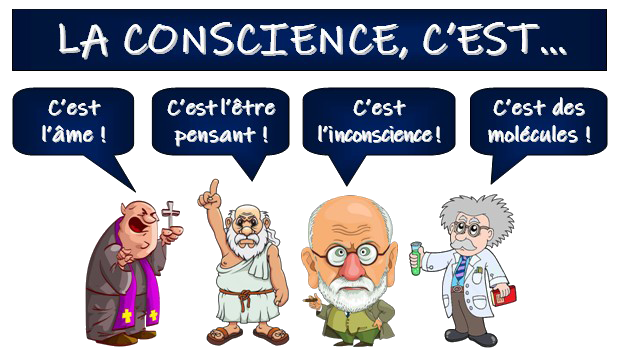 https://static.blog4ever.com/2016/03/816195/Conscience---Conscience-querelle.png