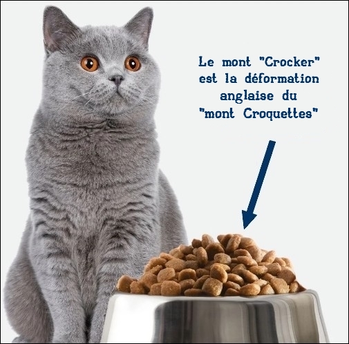 https://static.blog4ever.com/2016/03/816195/Crocker-Mountain---Croquettes-chat.jpg