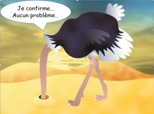 https://static.blog4ever.com/2016/03/816195/Croyances-indestructibles---Autruche-sable.png