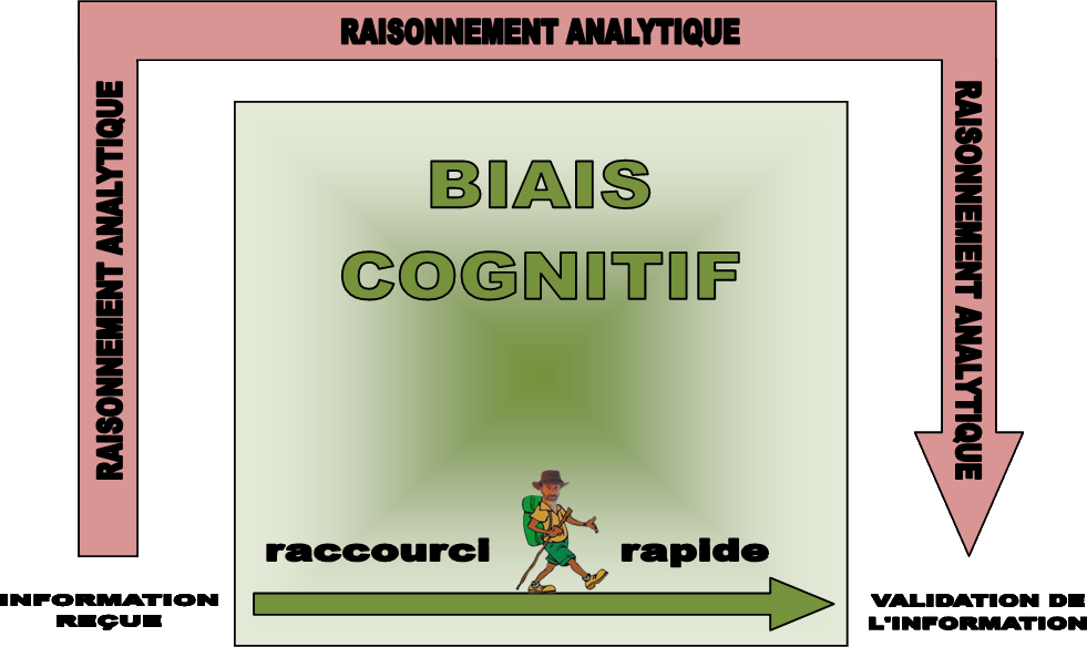 https://static.blog4ever.com/2016/03/816195/Croyances-indestructibles---Biais-cognitifs.png