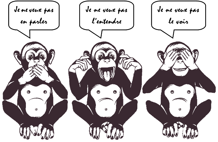 https://static.blog4ever.com/2016/03/816195/Croyances-indestructibles---Singes-trois-2a.png