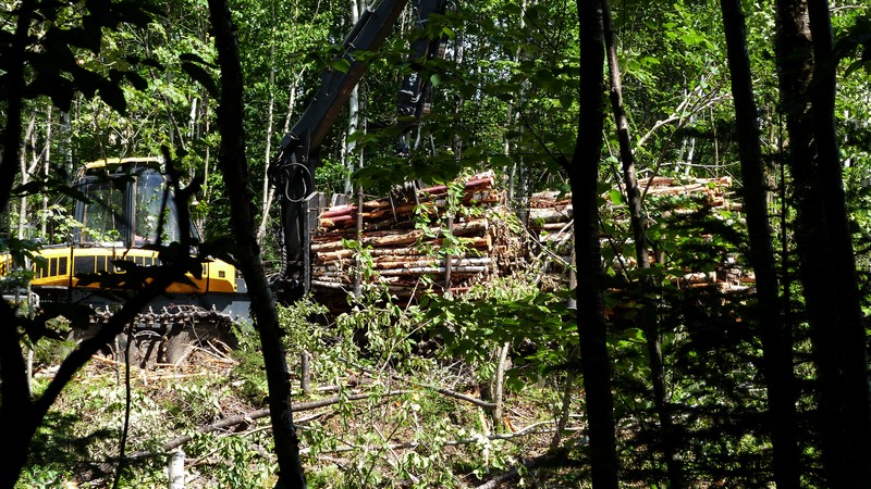 https://static.blog4ever.com/2016/03/816195/Estrie---Ruisseau-Mining--mine-d--or----Domtar-machinerie.JPG